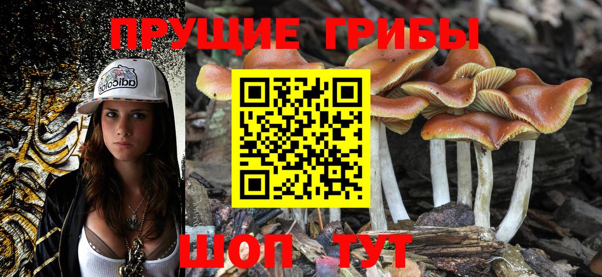 Галлюциногенные грибы MAGIC MUSHROOMS Пугачёв