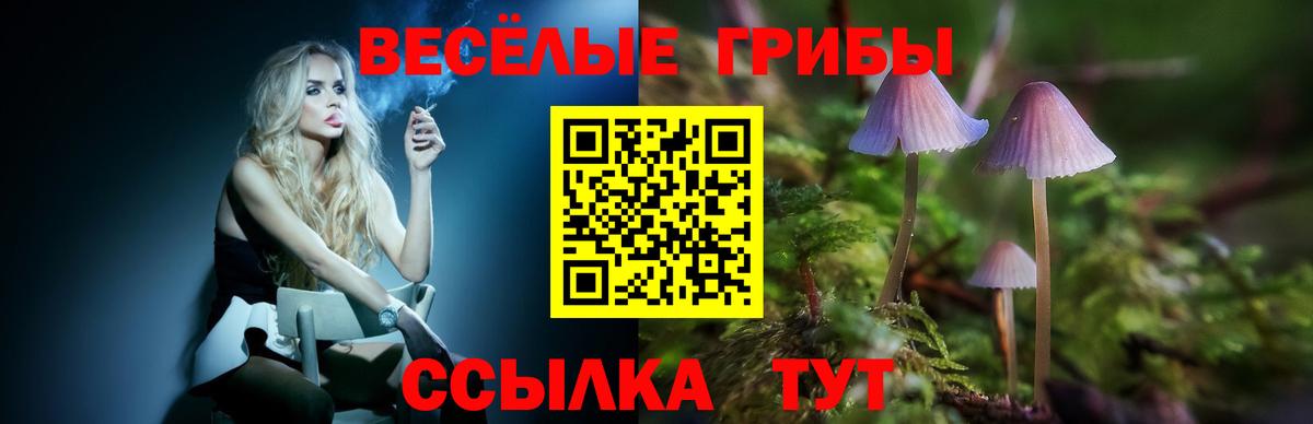 Псилоцибиновые грибы GOLDEN TEACHER  Вход с VPN  Пугачёв 